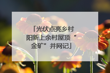 光伏点亮乡村 阳新上余村屋顶“金矿”并网记