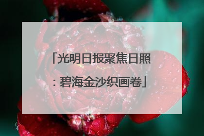 光明日报聚焦日照：碧海金沙织画卷