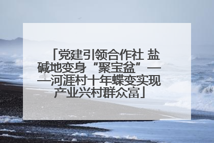 党建引领合作社 盐碱地变身“聚宝盆”——河涯村十年蝶变实现产业兴村群众富