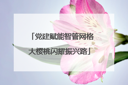党建赋能智管网格 大樱桃闪耀振兴路