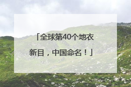 全球第40个地衣新目，中国命名！