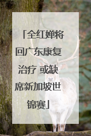 全红婵将回广东康复治疗 或缺席新加坡世锦赛