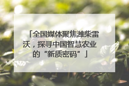 全国媒体聚焦潍柴雷沃，探寻中国智慧农业的“新质密码”