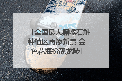 全国最大黑喉石斛种植区再添新景 金色花海扮靓龙陵