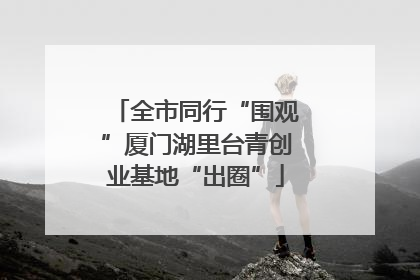 全市同行“围观”厦门湖里台青创业基地“出圈”