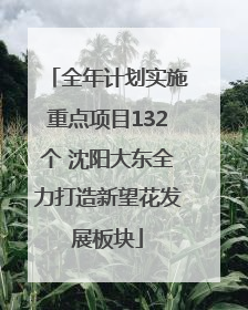 全年计划实施重点项目132个 沈阳大东全力打造新望花发展板块