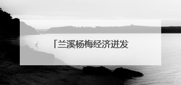兰溪杨梅经济迸发致富“新”动能