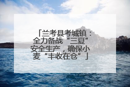 兰考县考城镇：全力备战“三夏”安全生产，确保小麦“丰收在仓”