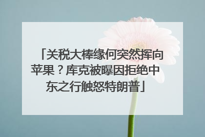 关税大棒缘何突然挥向苹果？库克被曝因拒绝中东之行触怒特朗普