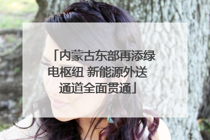 内蒙古东部再添绿电枢纽 新能源外送通道全面贯通