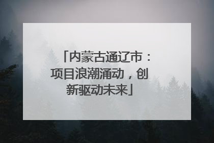 内蒙古通辽市:项目浪潮涌动,创新驱动未来