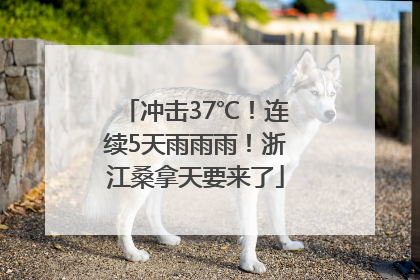 冲击37℃！连续5天雨雨雨！浙江桑拿天要来了