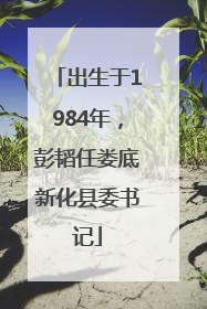 出生于1984年，彭韬任娄底新化县委书记