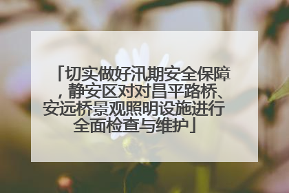 切实做好汛期安全保障，静安区对对昌平路桥、安远桥景观照明设施进行全面检查与维护
