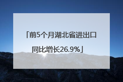 前5个月湖北省进出口同比增长26.9%