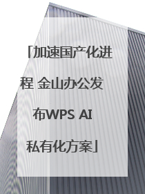 加速国产化进程 金山办公发布WPS AI私有化方案