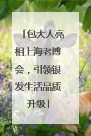 包大人亮相上海老博会，引领银发生活品质升级