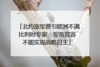 北约涨军费引欧洲不满 比利时专家：军备竞赛不能实现战略自主