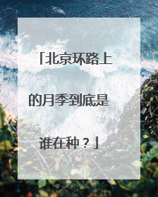北京环路上的月季到底是谁在种？
