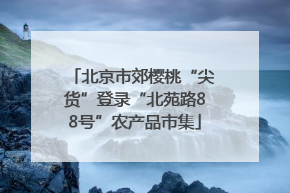 北京市郊樱桃“尖货”登录“北苑路88号”农产品市集