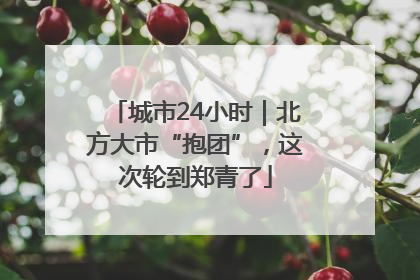 城市24小时｜北方大市“抱团”，这次轮到郑青了