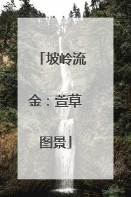 坡岭流金：萱草图景