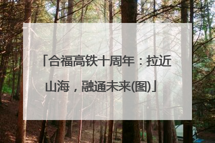 合福高铁十周年：拉近山海，融通未来(图)