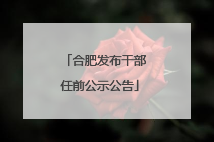 合肥发布干部任前公示公告