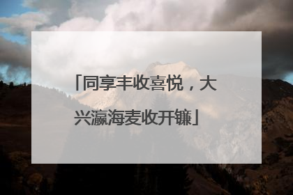 同享丰收喜悦，大兴瀛海麦收开镰