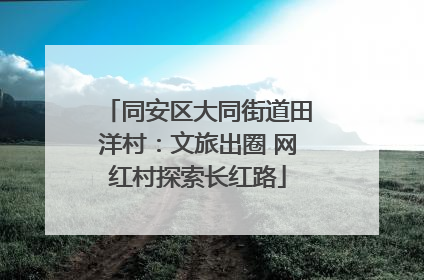同安区大同街道田洋村：文旅出圈 网红村探索长红路