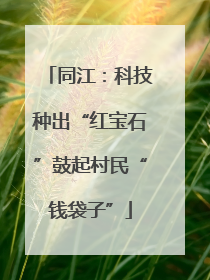 同江：科技种出“红宝石”鼓起村民“钱袋子”