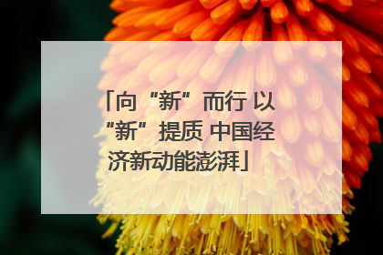 向“新”而行 以“新”提质 中国经济新动能澎湃