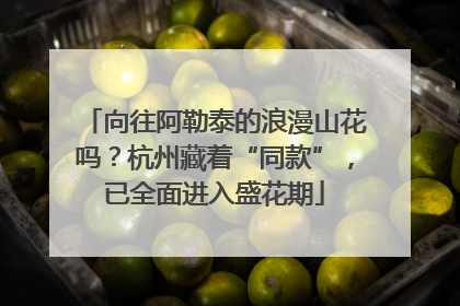 向往阿勒泰的浪漫山花吗？杭州藏着“同款”，已全面进入盛花期