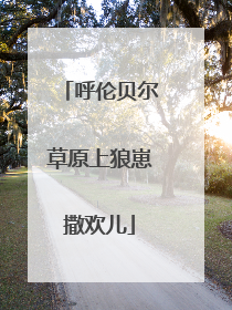 呼伦贝尔草原上狼崽撒欢儿