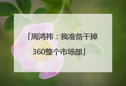 周鸿祎：我准备干掉360整个市场部