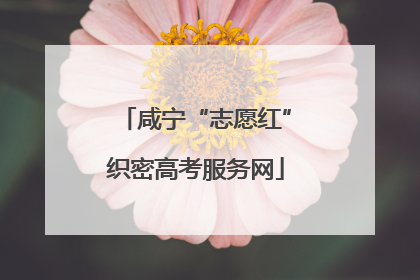咸宁“志愿红”织密高考服务网