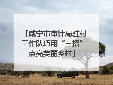 咸宁市审计局驻村工作队巧用“三招”点亮美丽乡村