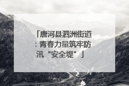 唐河县泗洲街道：青春力量筑牢防汛“安全堤”