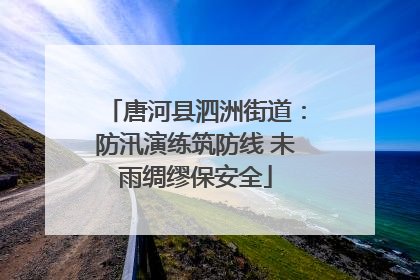 唐河县泗洲街道：防汛演练筑防线 未雨绸缪保安全