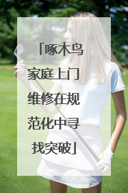 啄木鸟家庭上门维修在规范化中寻找突破