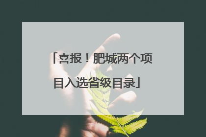 喜报！肥城两个项目入选省级目录