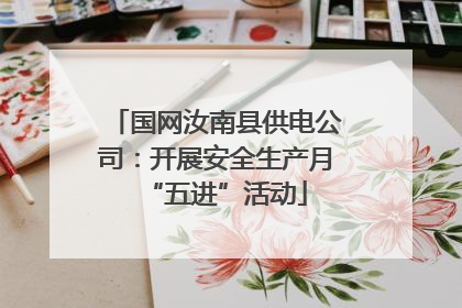 国网汝南县供电公司：开展安全生产月“五进”活动