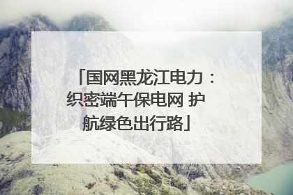 国网黑龙江电力：织密端午保电网 护航绿色出行路