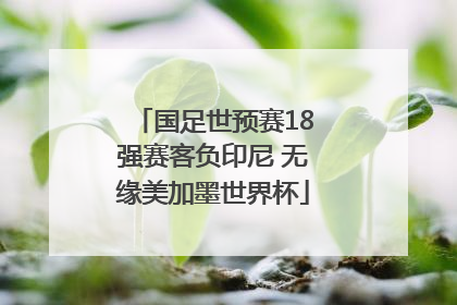 国足世预赛18强赛客负印尼 无缘美加墨世界杯