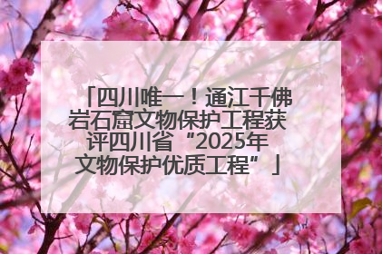四川唯一！通江千佛岩石窟文物保护工程获评四川省“2025年文物保护优质工程”