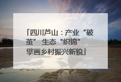 四川芦山：产业“破茧” 生态“织锦” 擘画乡村振兴新貌