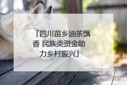 四川苗乡油茶飘香 民族类资金助力乡村振兴