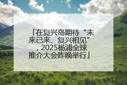 在复兴岛期待“未来已来、复兴相见”，2025杨浦全球推介大会昨晚举行