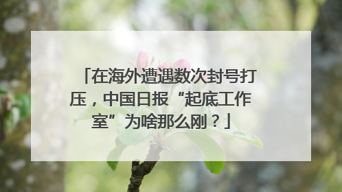 在海外遭遇数次封号打压，中国日报“起底工作室”为啥那么刚？