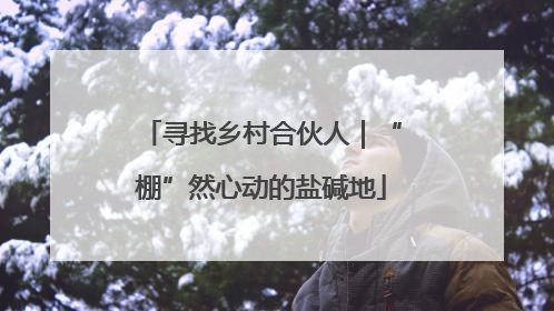 寻找乡村合伙人｜“棚”然心动的盐碱地